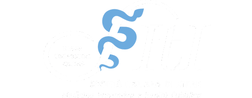 Logo SItI
